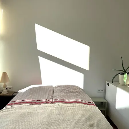 Cozy In Sv Stepono G. 维尔纽斯